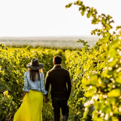 Wine Tour Service,Limo Wine Tours in DC Virginia and Maryland,Wine Tour Transportation,Limo Wine Tours,Wine Tour Limo Bus,Virginia Wine Tour