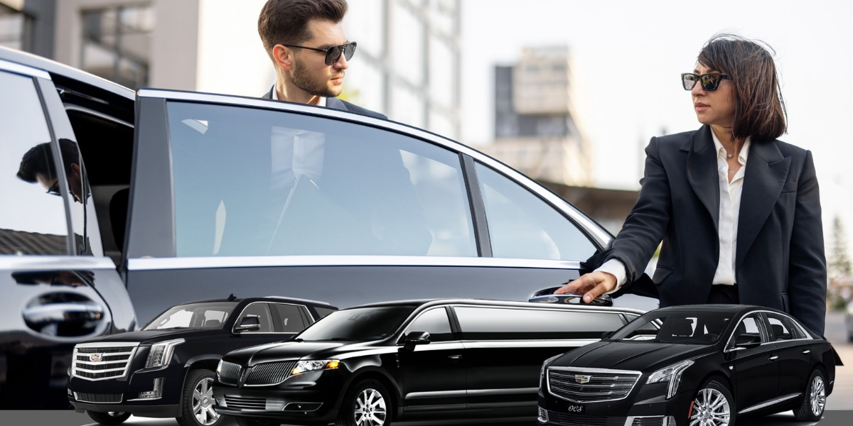 Dulles Limousine Servcie